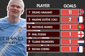 哈兰德新星赛事规则更新表现惊艳，热火未来可期！的简单介绍